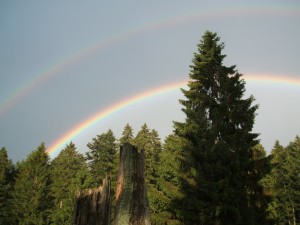 doppelter regenbogen