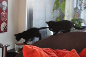 neues land entdecken