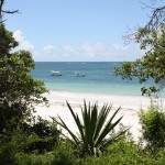 Ausblick diani beach