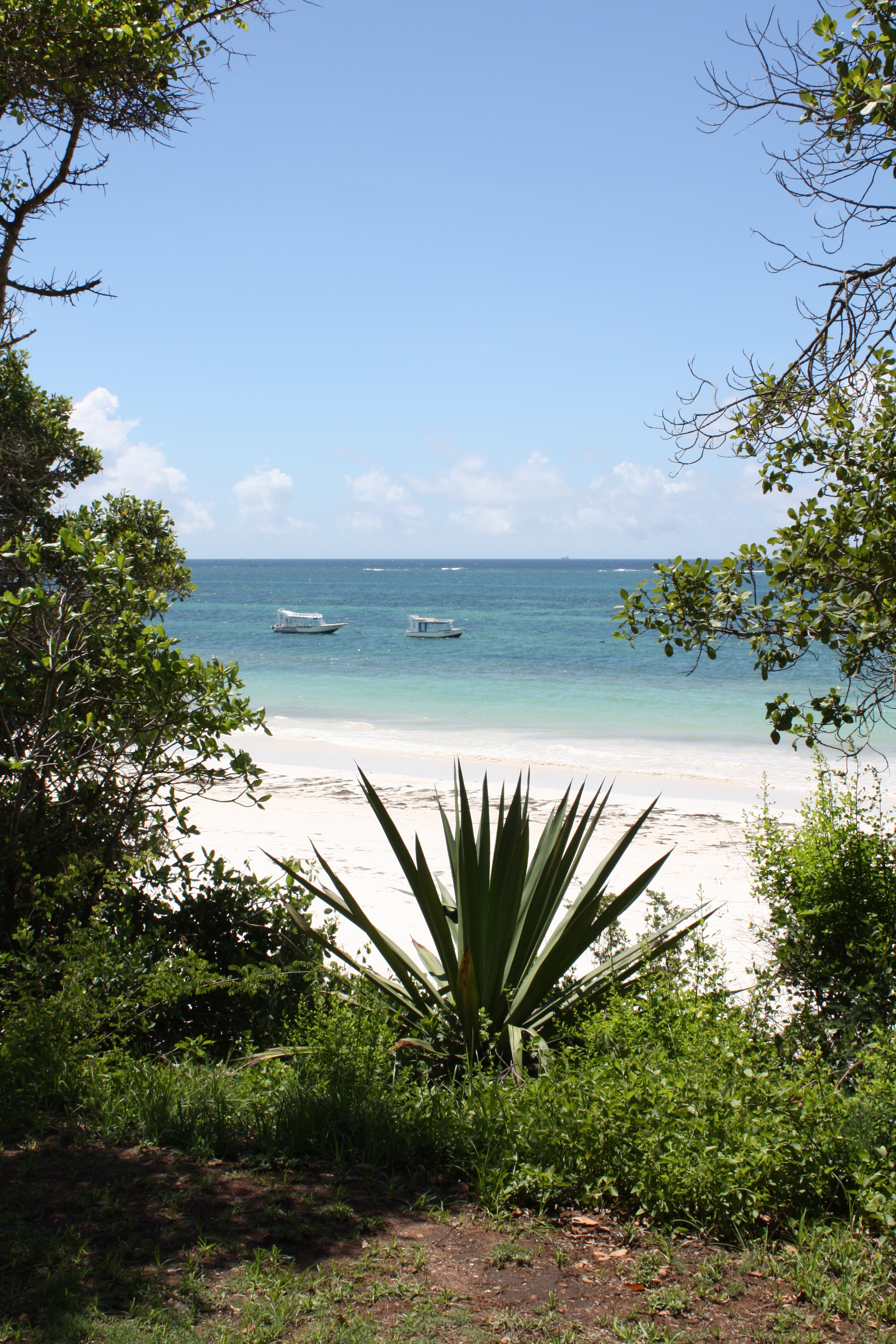 Ausblick diani beach