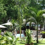 baobab beach resort